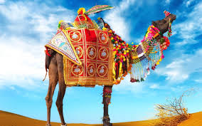 Rajasthan Royal Legacy Tour